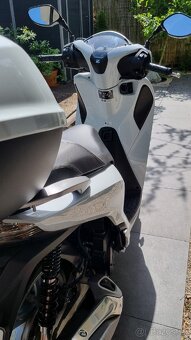 Honda SH125 r.v.2019 s kufrom a plachtou - 2