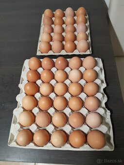 DOMÁCE VAJÍČKA: 30KS./6,90.-€ (1KS./0,23.-€) - 2