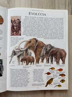 Detská ilustrovaná encyklopédia - Živý svet - 2