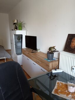 1,5IZB 63M2 S LOGGIOU CENTRUM PRI STEREJ RADNICI - 2