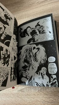 Sin City: Město hříchu #5 - 2