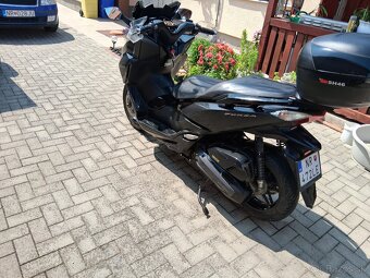 Honda forza 125 - 2
