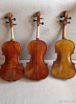 ✴️ Viola ✴️ - 2