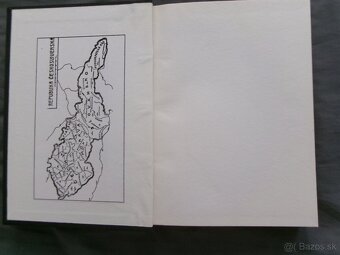 Dejiny Slovenska a Slovákov - Dr.František Bodes. - 2