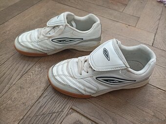 Halovky veľ. 36 - 2