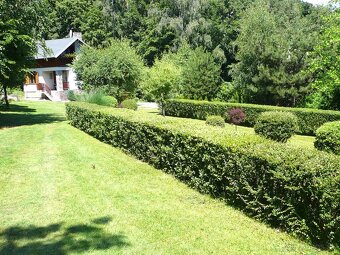 BH REAL ESTATE exluzívne ponúka na predaj chatu v Jelenci - 2