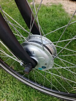 E-BIKE Devron Aston "29" 315Wh - 2