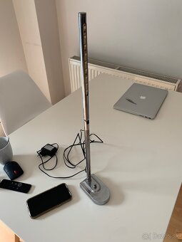 Citacia lampicka - 2