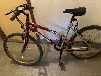 Detský/Dievčenský bike Piranha - 2