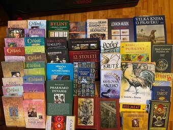 Mentalita mamby,Hipoterapie,Had Genese,This Man,Supervize - 2