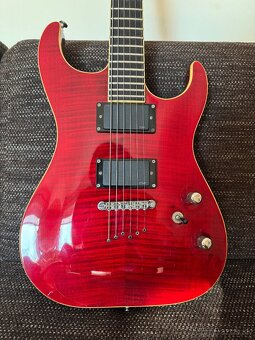Washburn X50 ProFE gitara - 2