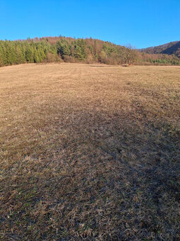 Predaj orná pôda Bodiná 3830 m2 - 2