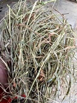 Seno z druhej kosby - 2