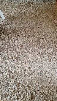 Koberec 230 x 160 cm - 2