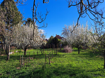 Záhrada s rodinným domom 1100 m2 - 2