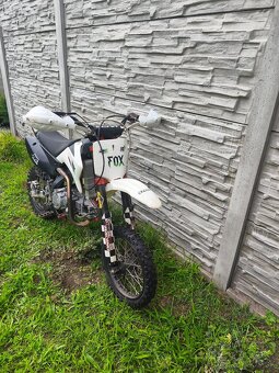 Pitbike Champs 160 - 2