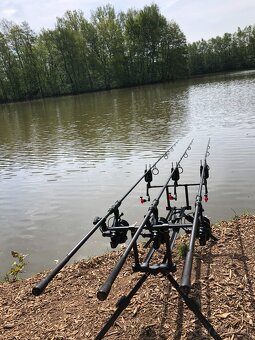 Pruty 2x FOX Torque 12ft (3,66m) - 2