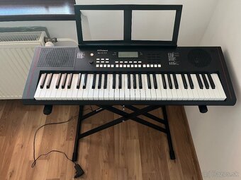 Keyboard, Soundking - 2