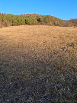 Predaj orná pôda Bodiná 3830 m2 - 2