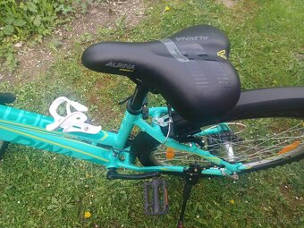 Bicykel Alpina - 2