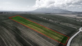 Podhorany – 21.752 m2 ORNÁ PÔDA v podiele 1/1 – Predaj - 2