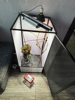 Terarium pre chameleóny - 2