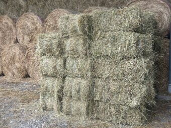 Predam seno male baliky - 2