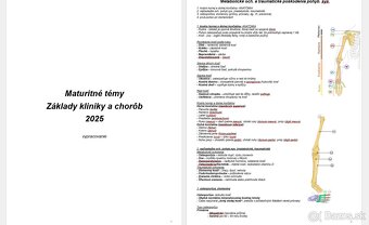 Vypracované maturitné témy 2025, Zkc, Sj+Lit - 2