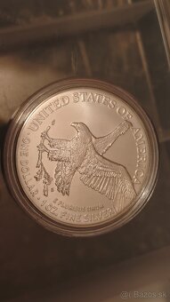 American silver Eagle - 2