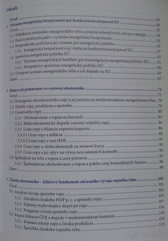 Energetická bezpečnosť v období globalizácie - 2