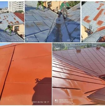 Maľovanie strechy - 2