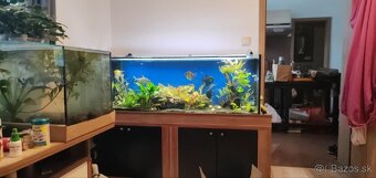 Akvarium 350L plus stolik - 2