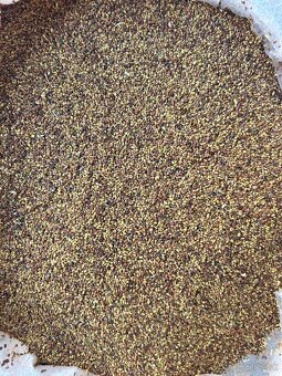 Predam lucerku,lucernu,lucerka - 2