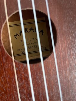 Ukulele - 2