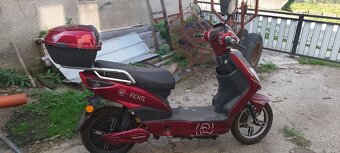 racceway fichtl - 2