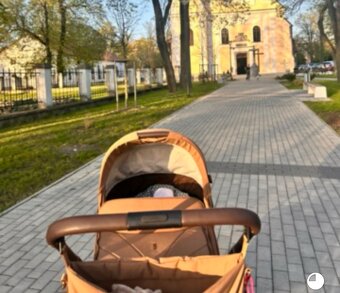 Predam nas kocik aj s vajickom - 2