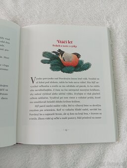 Čarovné vianočné príbehy - 2