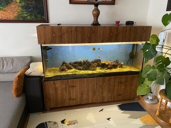 Veľké akvárium - 2