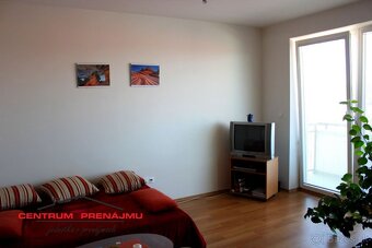 Prenajmem 1- izbový byt v Trnave - 2