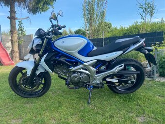 Suzuki SFV Gladius 650 - 2