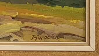 Obraz od autora Martina Djuračku - 2