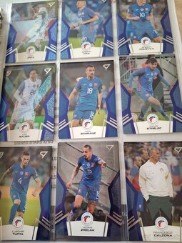 Slovenski sokoli 2024 - 2