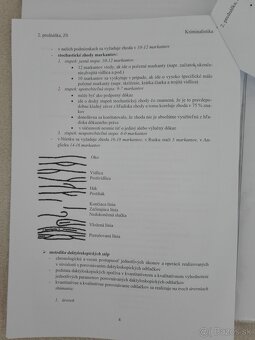 Štátnica trestné právo - 2