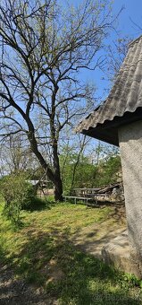 Vinica a sad Hrkovce - 2