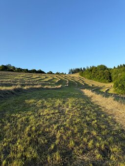 Ponúkam na predaj seno - 2