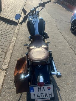 Harley Davidson Dyna Wide Glide FXDWG 10/2009 - 2