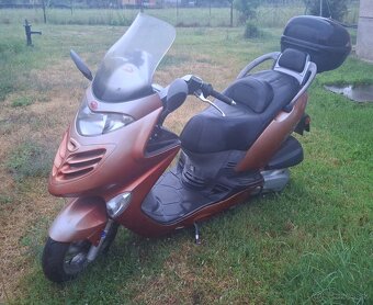 Kymco - Grand Dink 250 - 2