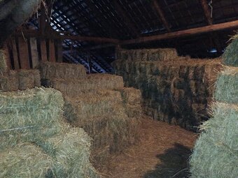 Seno otava Hranaté balíky sena - 2