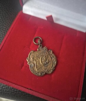 Starožitný odznak - 2