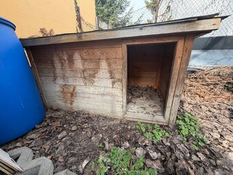 Drevena psia buda - 2